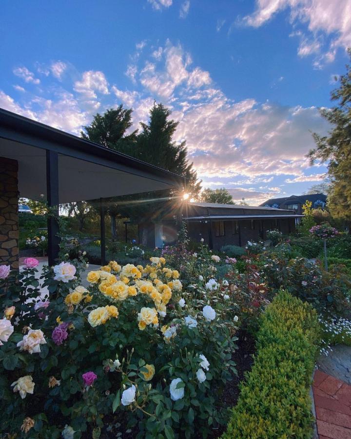 Shiraz Cottage - A Vineyard Retreat In Barossa Valley Rowland Flat Exteriér fotografie